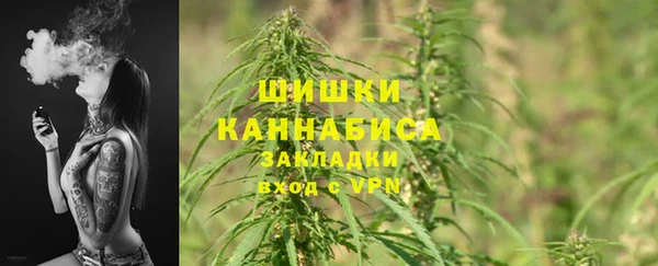 сатива Аркадак