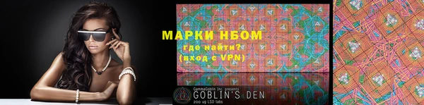 сатива Аркадак