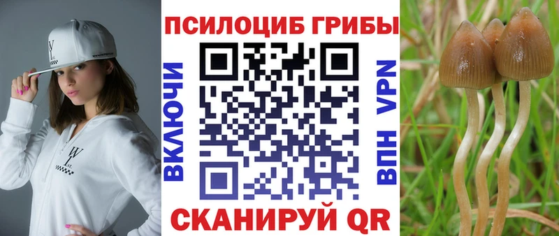 Галлюциногенные грибы Psilocybine cubensis  Бородино 